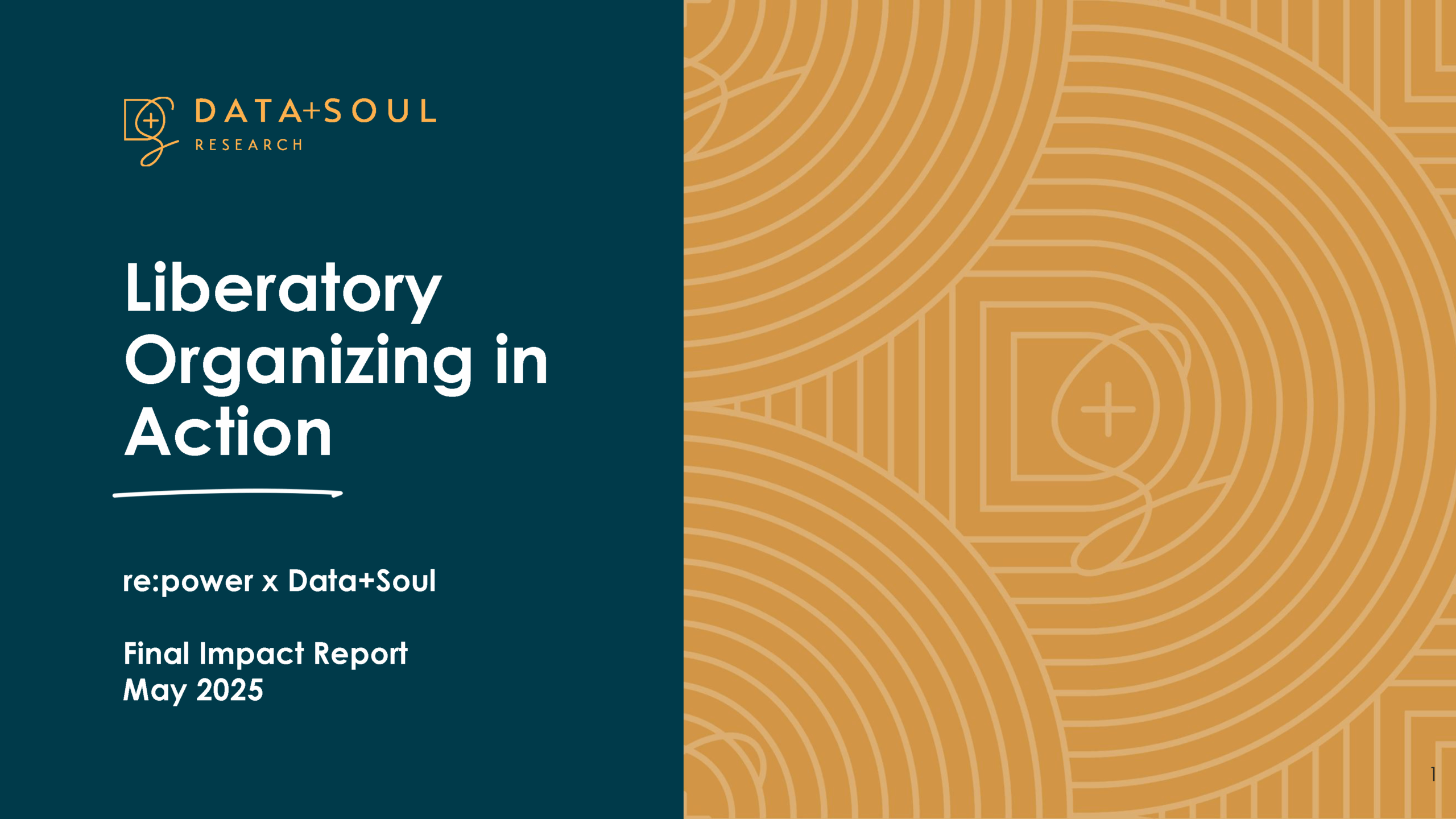 Cover of Data + Soul Impact Report